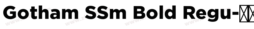 Gotham SSm Bold Regu字体转换